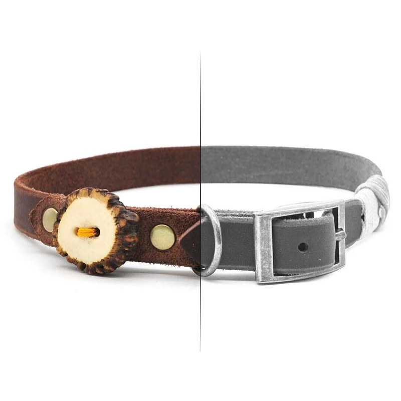 Leder-Hundehalsband – mit Schnalle | Konfigurator
