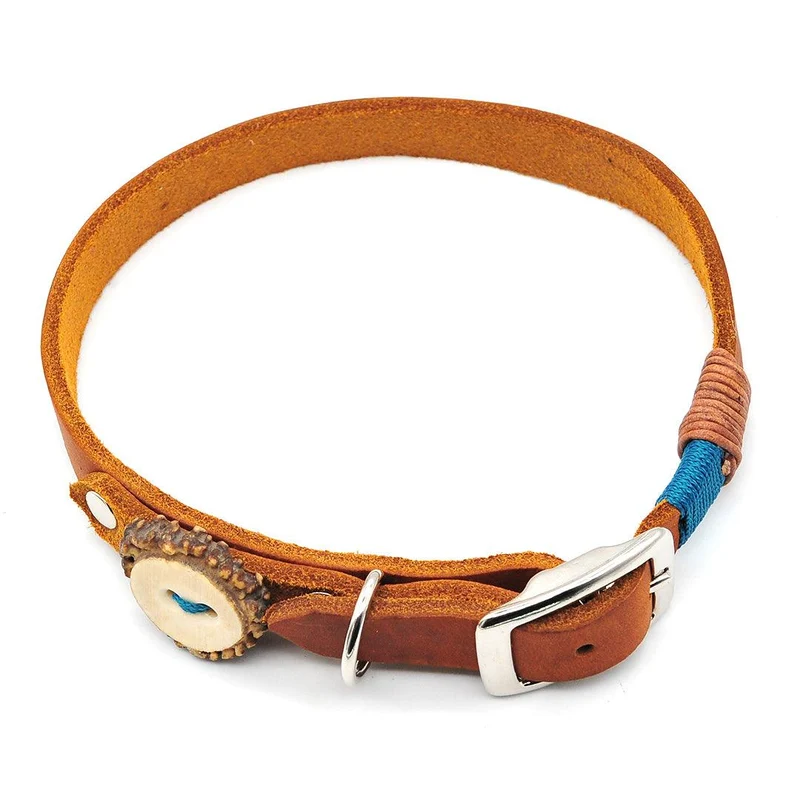 Leder-Hundehalsband – mit Schnalle | Konfigurator