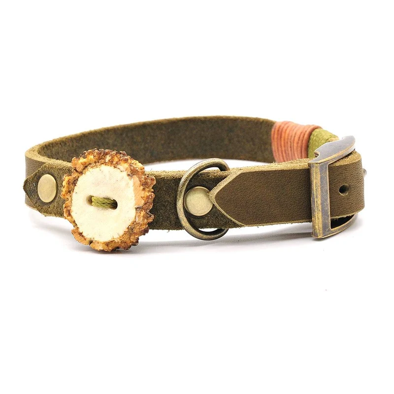 Leder-Hundehalsband – mit Schnalle | Konfigurator