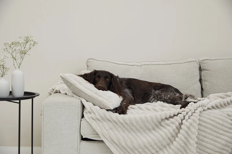 Kuscheldecke VÄRME Breitcord