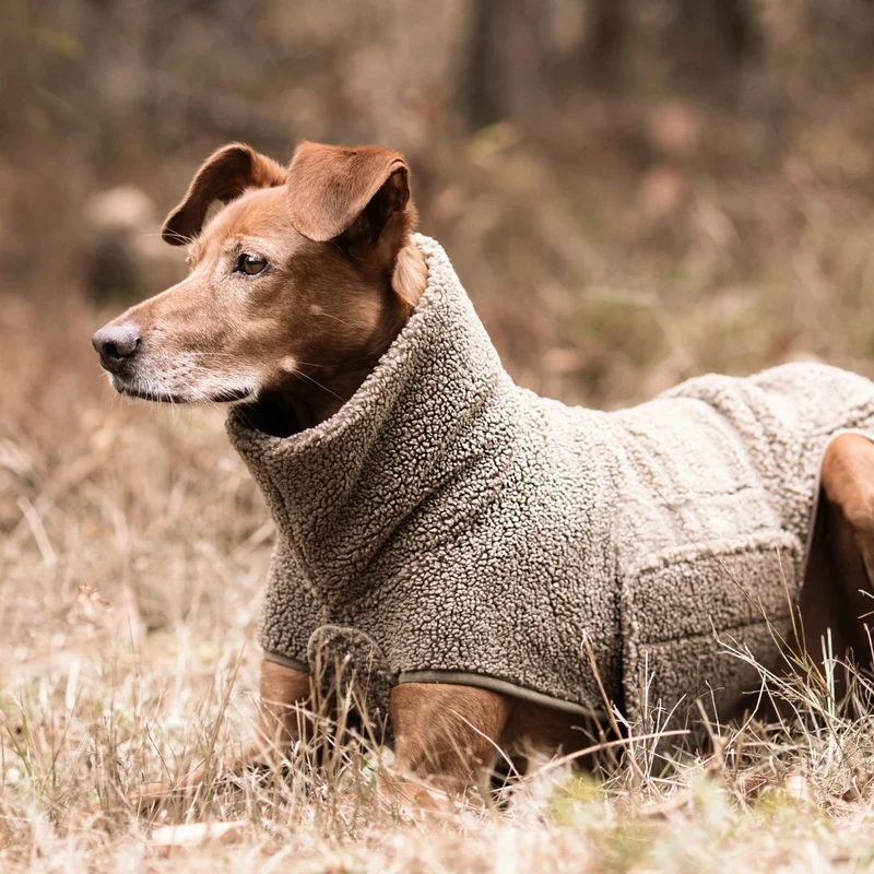 Hundepullover Derby Plush 2.0 Taupe C7 x Woofstuff
