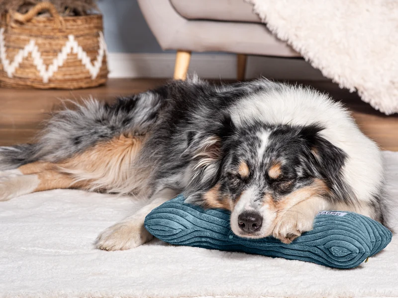 Kissen KUSCHELKNOCHEN Cord