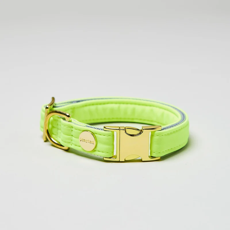 Halsband Softie NEONGELB-GRAU
