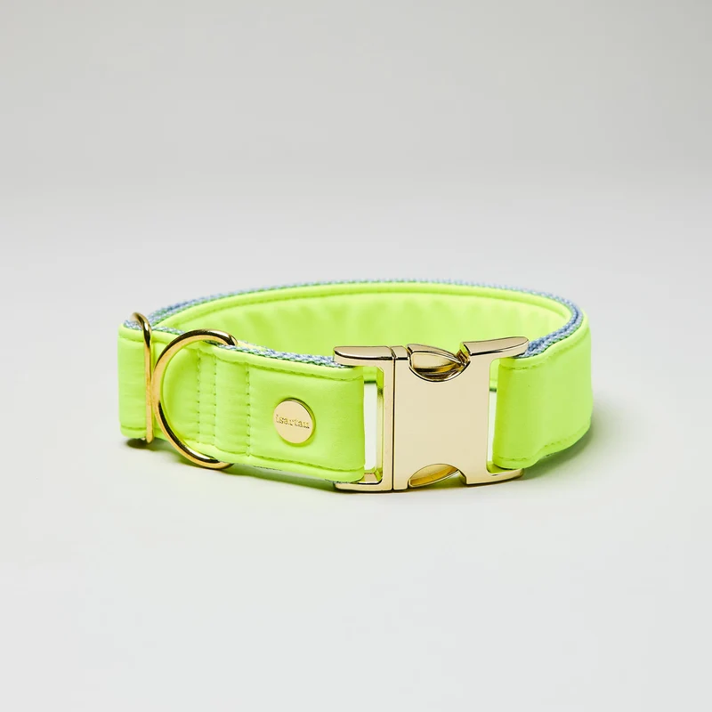 Welpenhalsband Softie NEONGELB-GRAU