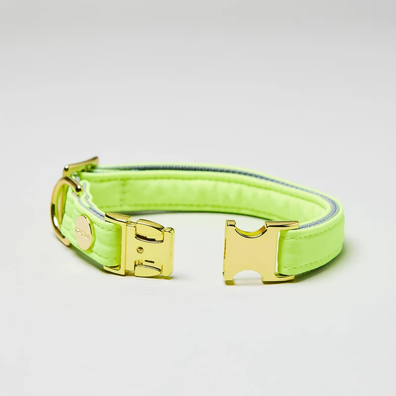 Welpenhalsband Softie NEONGELB-GRAU