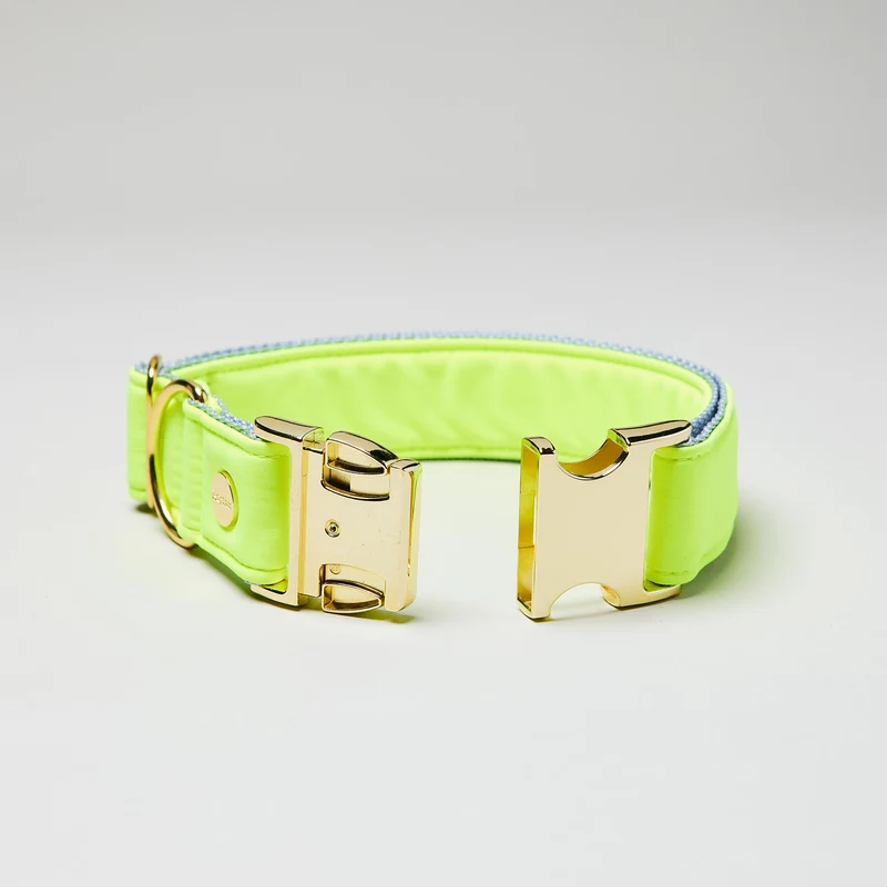 Welpenhalsband Softie NEONGELB-GRAU