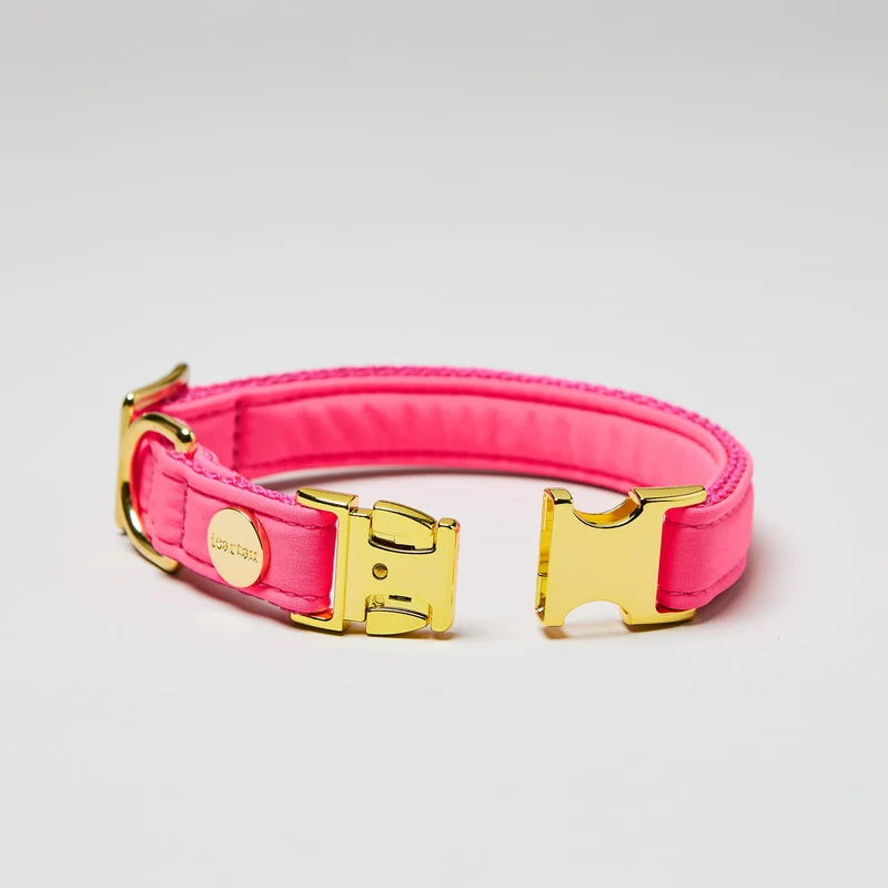 Halsband Softie NEONPINK