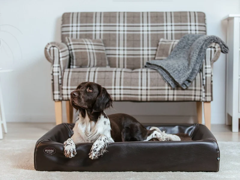 Hundebett KUDDE Kunstleder