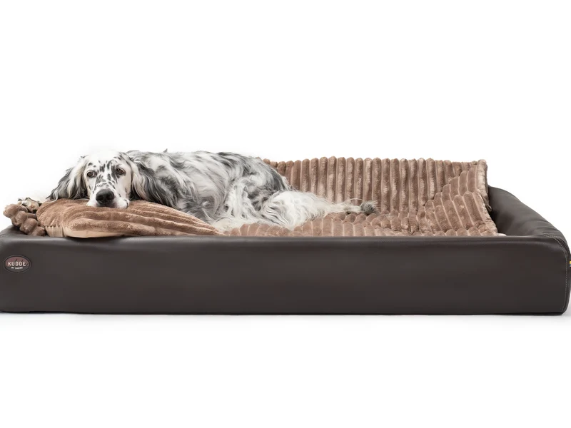 All-In Relax Bundle | KUDDE Hundebett + Einlage & Kissen