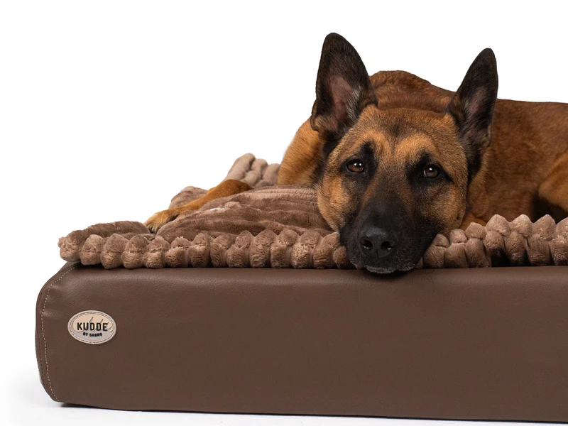 All-In Relax Bundle | KUDDE Hundebett + Einlage & Kissen