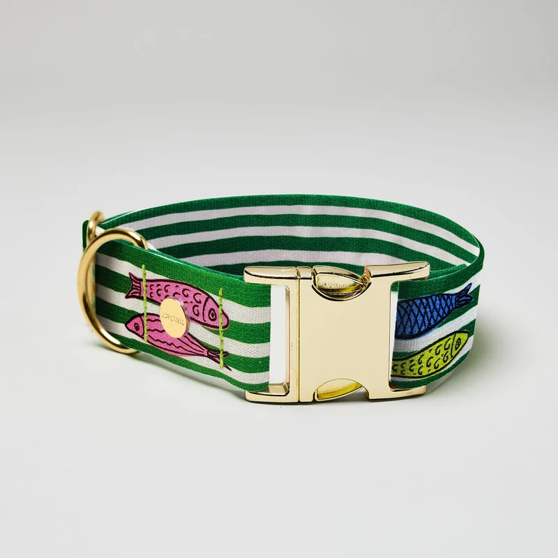 Designerhalsband SALTY