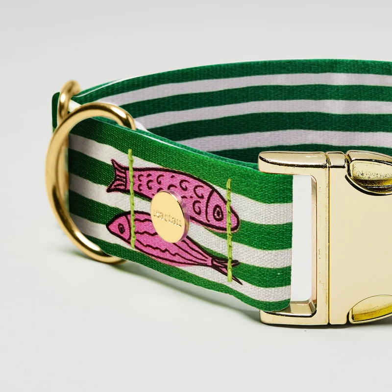 Designerhalsband SALTY