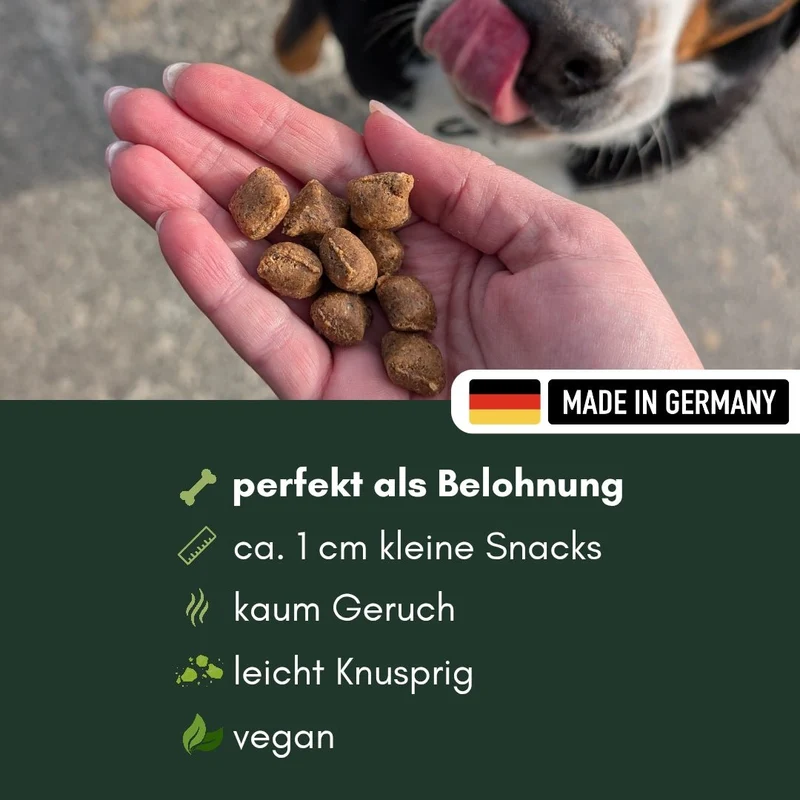Früchte Kissen