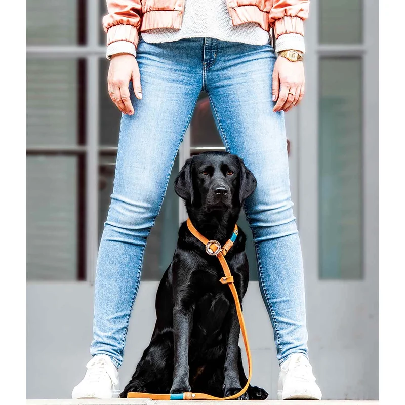 Retrieverleine Leder | Konfigurator