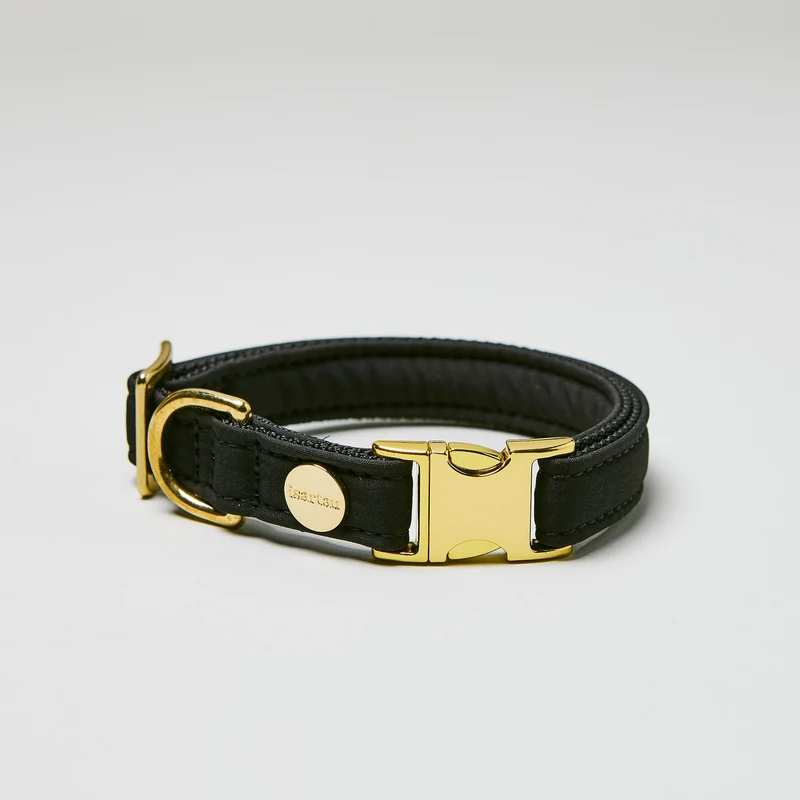 Welpenhalsband Softie SCHWARZ
