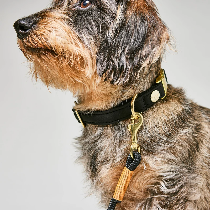 Halsband Softie SCHWARZ