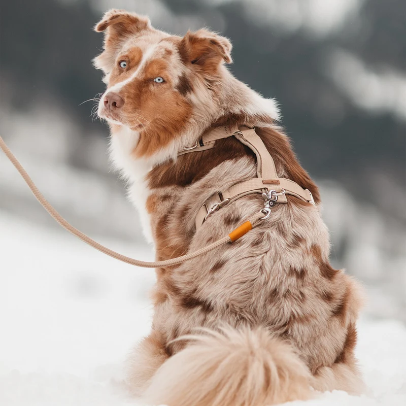 Hundegeschirr Softie BEIGE