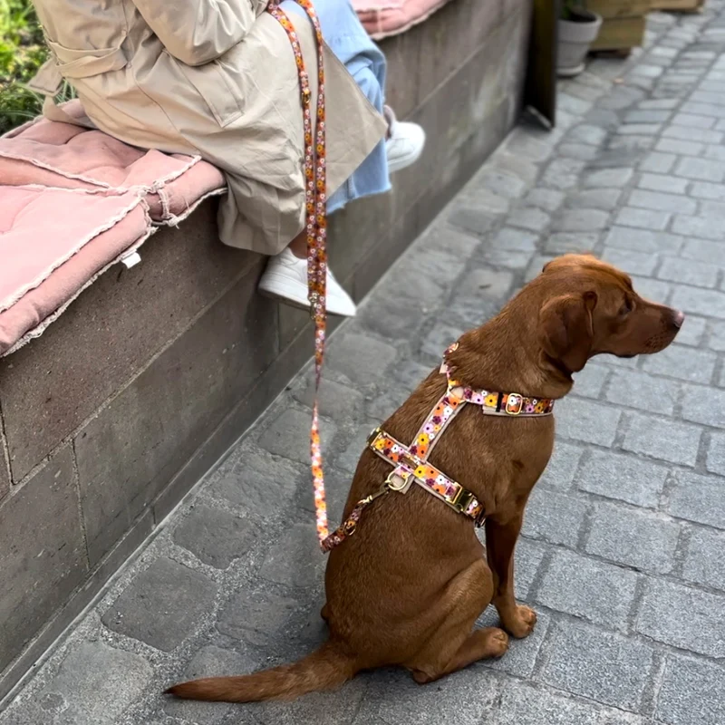 Hundegeschirr BLUMENMEER