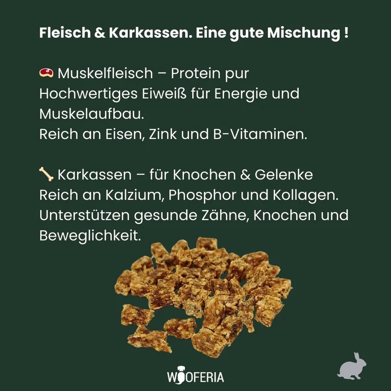 Kaninchen Trainies