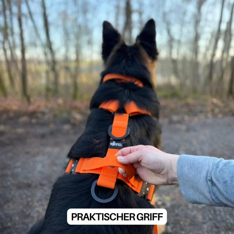 Y-Hundegeschirr WOOFLEX® 4fach-verstellbar mit Griff und Sicherheitsschnallen Sunset Orange - wasserfest