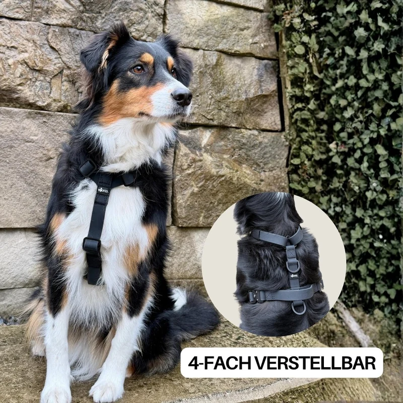 Y-Hundegeschirr WOOFLEX® 4fach-verstellbar mit Griff und Sicherheitsschnallen Phantom Black - wasserfest
