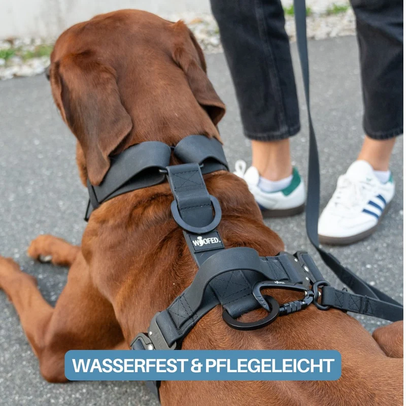 Y-Hundegeschirr WOOFLEX® 4fach-verstellbar mit Griff und Sicherheitsschnallen Phantom Black - wasserfest