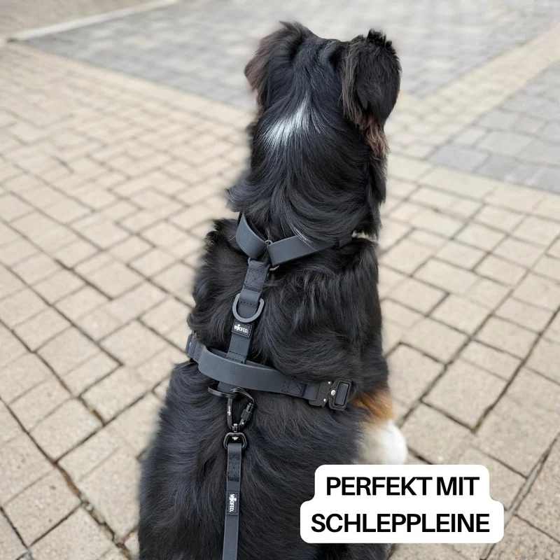 Y-Hundegeschirr WOOFLEX® 4fach-verstellbar mit Griff und Sicherheitsschnallen Phantom Black - wasserfest