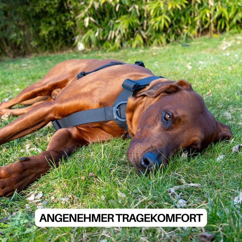 Y-Hundegeschirr WOOFLEX® 4fach-verstellbar mit Griff und Sicherheitsschnallen Phantom Black - wasserfest