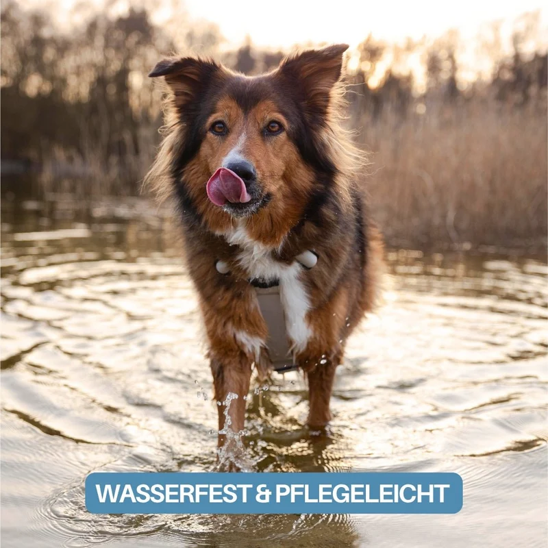 Y-Hundegeschirr WOOFLEX® 4fach-verstellbar mit Griff und Sicherheitsschnallen Desert Sand - wasserfest