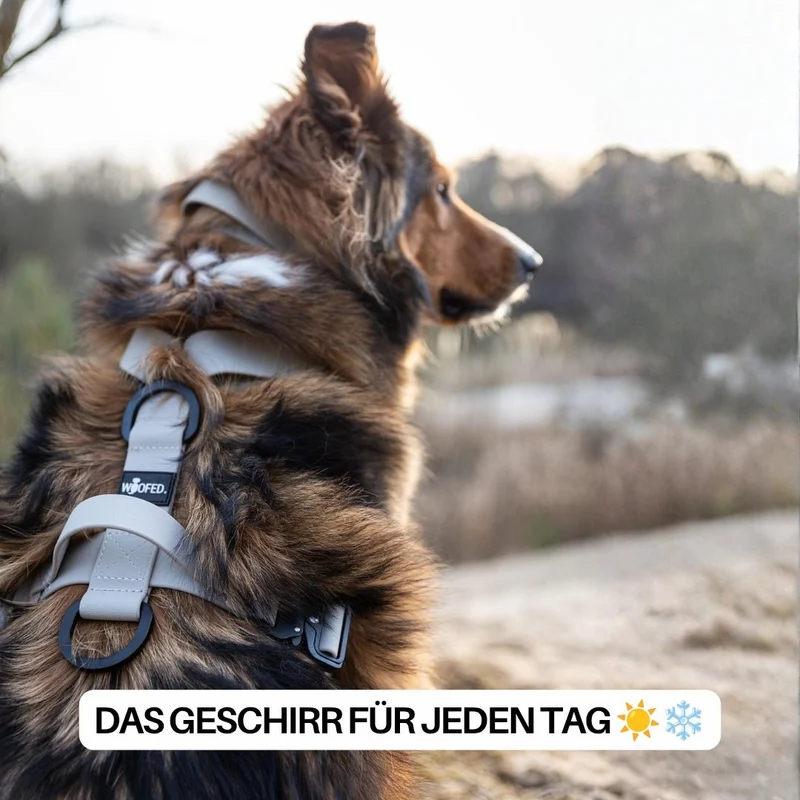 Y-Hundegeschirr WOOFLEX® 4fach-verstellbar mit Griff und Sicherheitsschnallen Desert Sand - wasserfest
