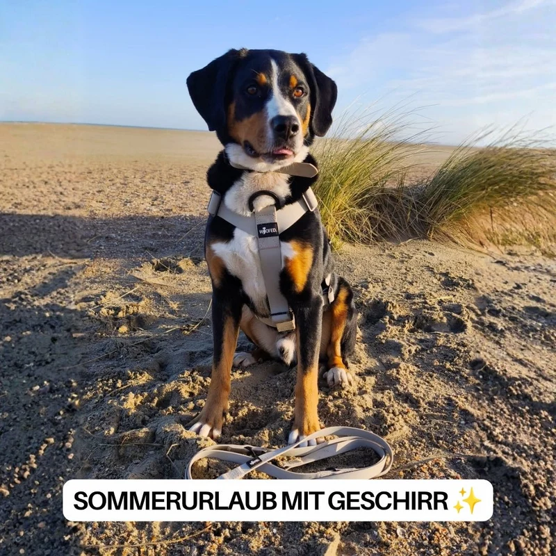 Y-Hundegeschirr WOOFLEX® 4fach-verstellbar mit Griff und Sicherheitsschnallen Desert Sand - wasserfest