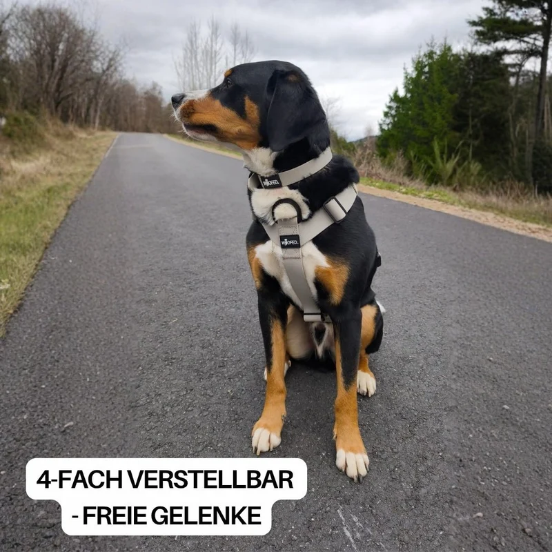 Y-Hundegeschirr WOOFLEX® 4fach-verstellbar mit Griff und Sicherheitsschnallen Desert Sand - wasserfest