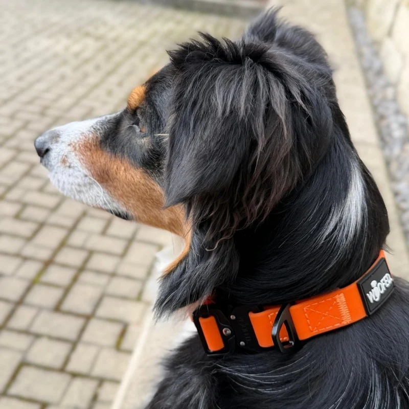 Halsband WOOFLEX® Tactical verstellbar ohne Griff Sunset Orange
