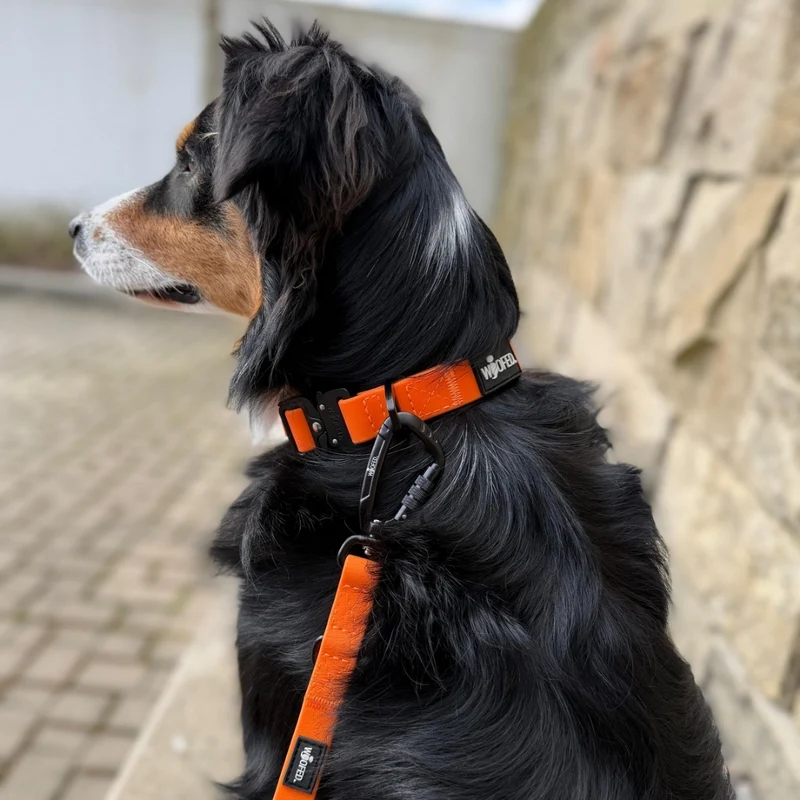 Halsband WOOFLEX® Tactical verstellbar ohne Griff Sunset Orange