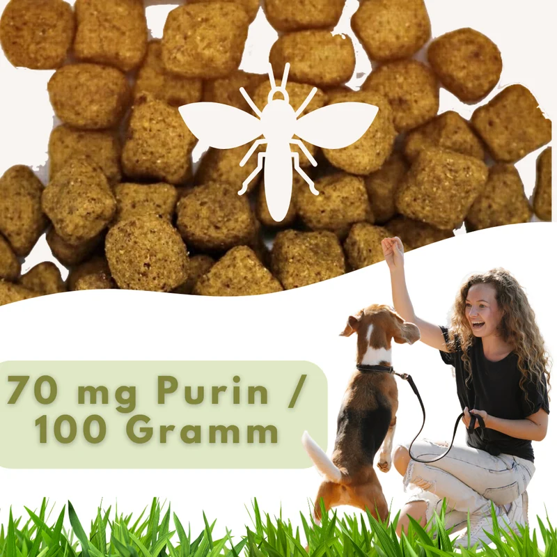 MyPetClub Insekten Purinarm