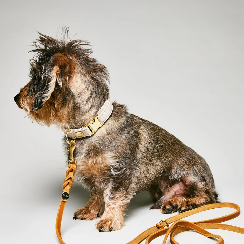 Halsband Softie BEIGE