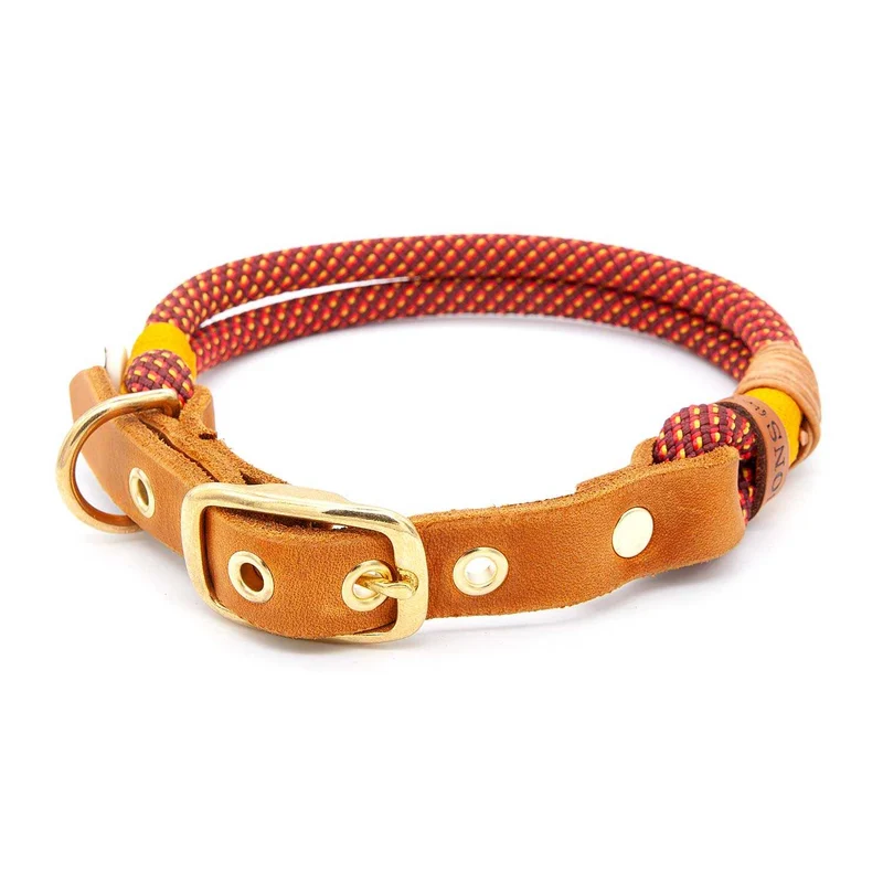 Hundehalsband Tau mit Schnalle – 10mm