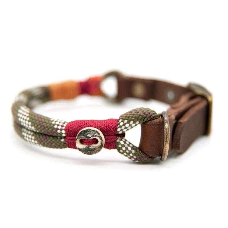 Hundehalsband Tau mit Schnalle – 10mm