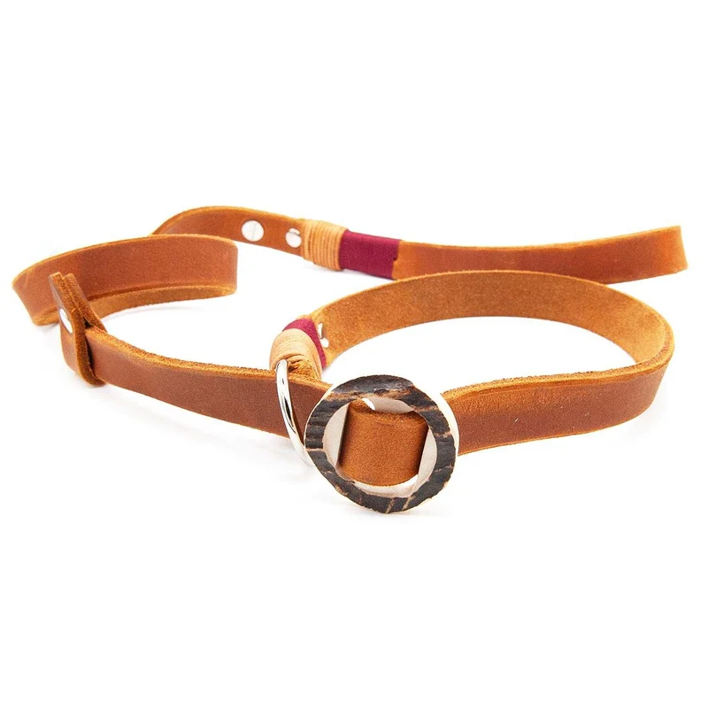 Retrieverleine Leder