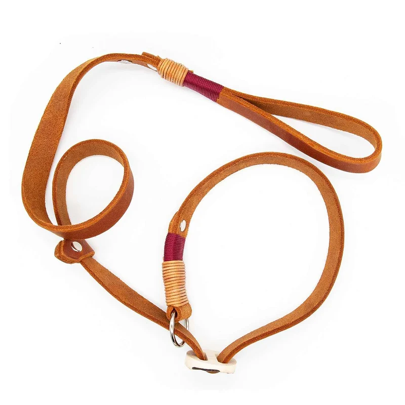 Retrieverleine Leder