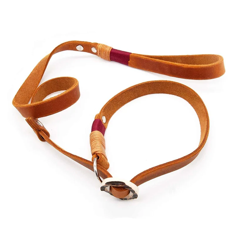 Retrieverleine Leder
