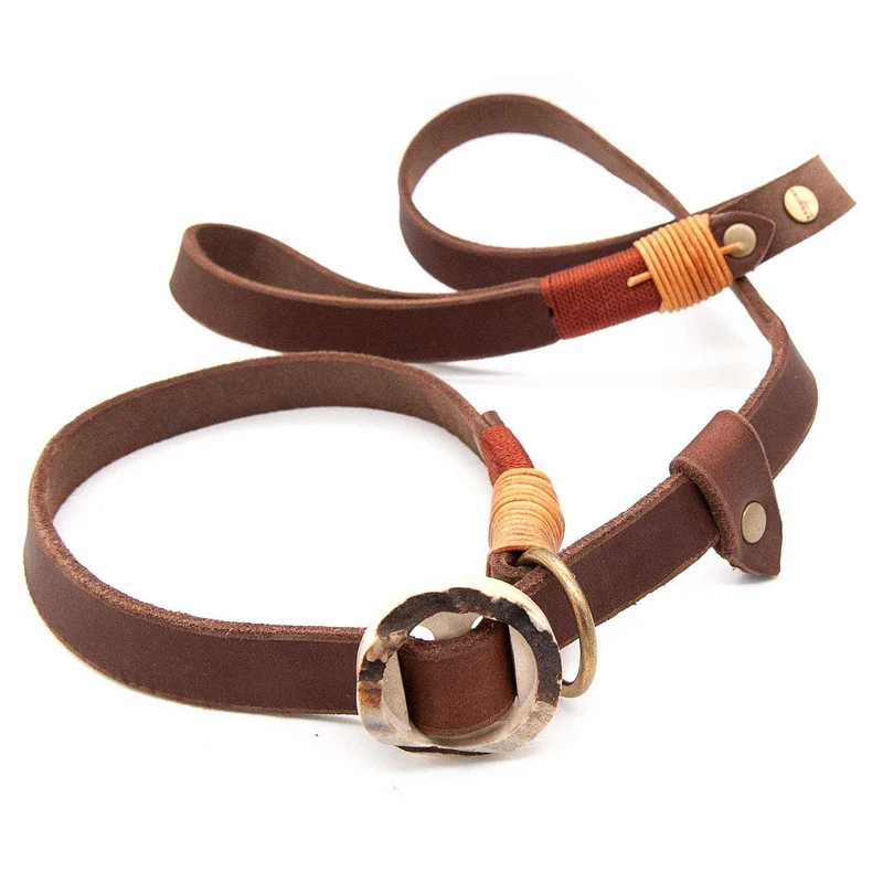 Retrieverleine Leder