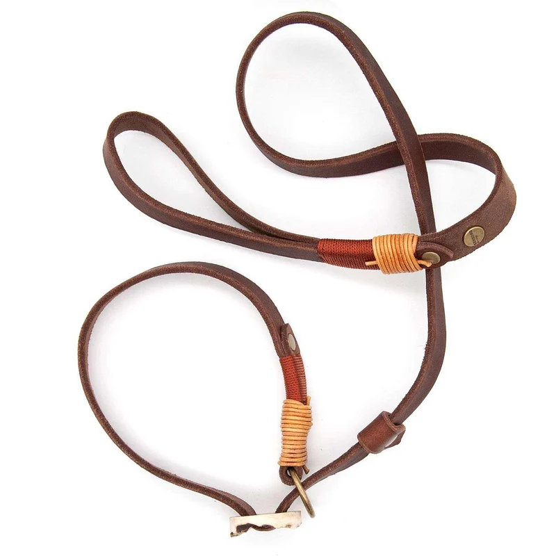 Retrieverleine Leder