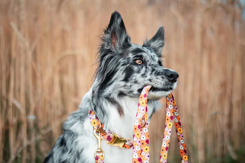 Designerleine BLUMENMEER, 190 cm (Standard)
