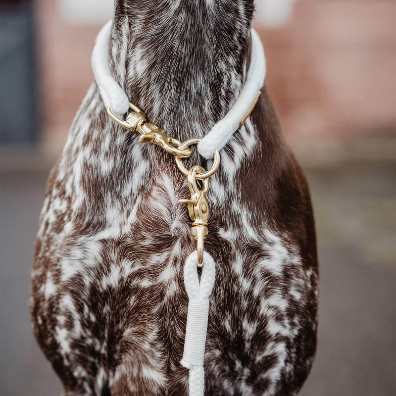 Festes Halsband Pure Breeze WEISS