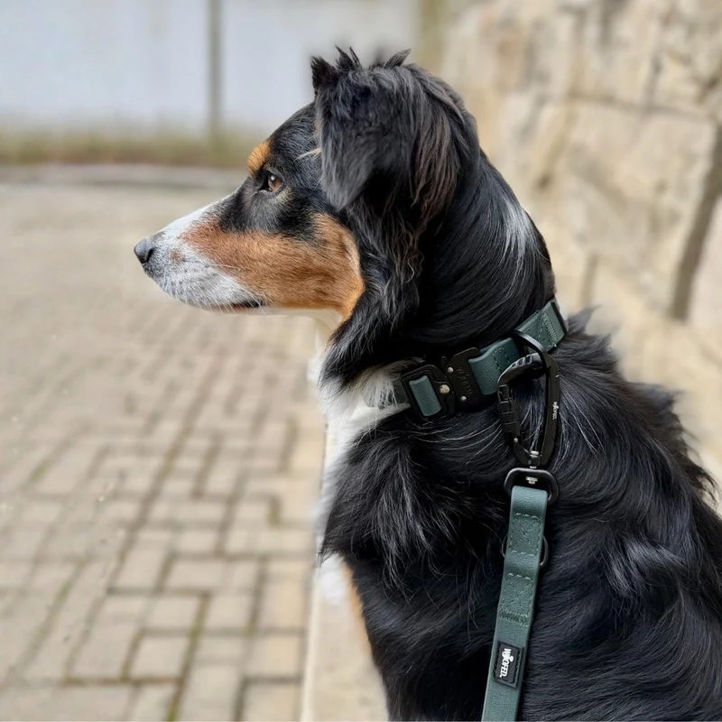 Halsband WOOFLEX® Tactical verstellbar ohne Griff Hunting Green