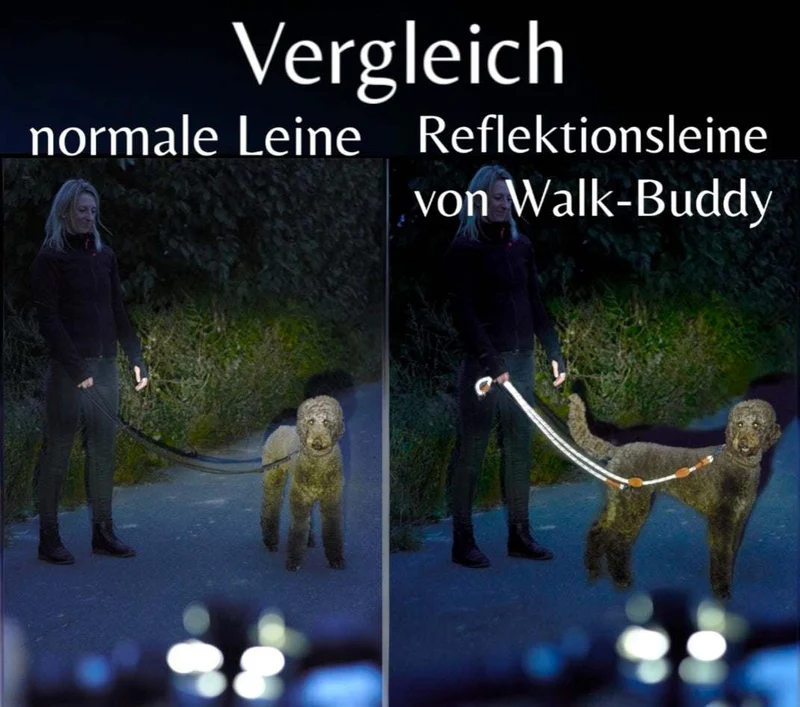 Reflektionsleine GLOW stark reflektierend längenverstellbar und vegan