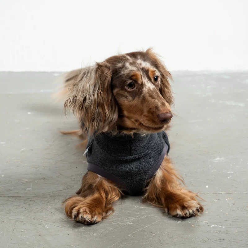 Fleece Shirt für Dackel Anthrazit