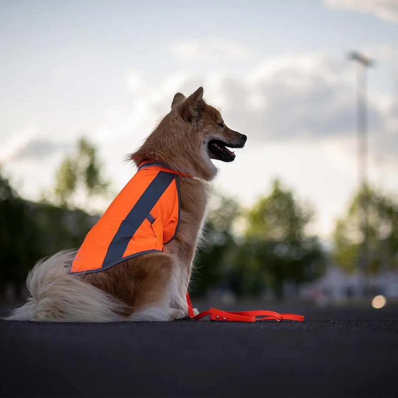 Hundewarnweste Neonorange