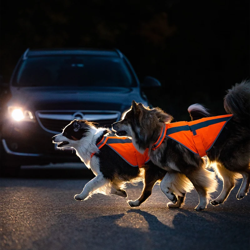 Hundewarnweste Neonorange